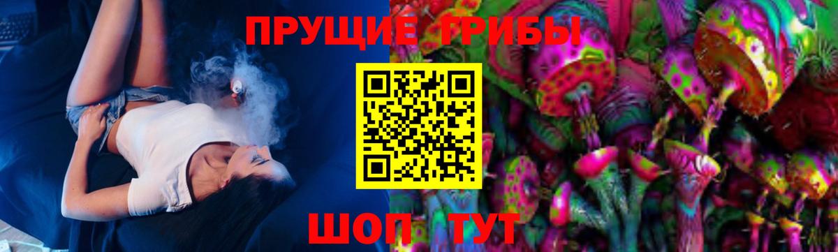 Галлюциногенные грибы Psilocybine cubensis Скопин